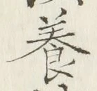 Chữ 養