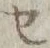 字セ