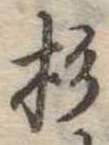 位置定マレル杉