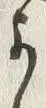 𡨸よ