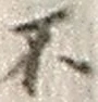文字 不