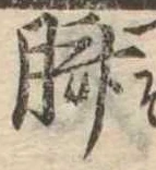 臍 위치 확인됨