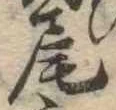 尾 위치 확인됨