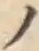 字ノ