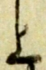 字上