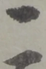 俵 위치 확인됨
