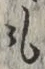 글자 も