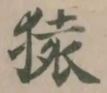 猿，已得其位