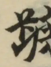 蹠の位置