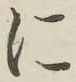 글자 に
