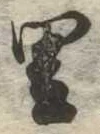 里 위치 확인됨