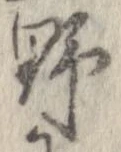 已定位野