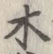 位置 確認된 木