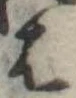 位置定マレル𛂦