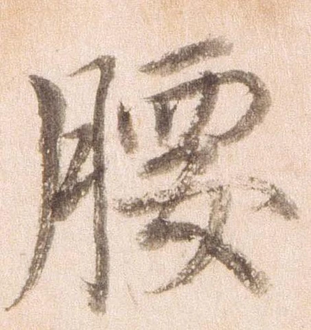 已定位腰