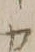 “カ”字