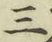字三