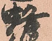 蜂 위치 확인됨