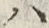 字ハ