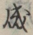Đã định vị 成