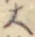 字大