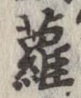 羅 위치 확인됨