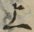 位置 確認된 上