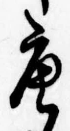位置定マレル唐