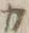 “カ”字