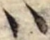 𛂞の位置