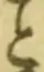 「と」字