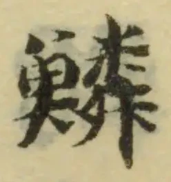 鱗の位置