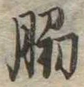 Đã định vị 脇