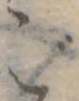 ご 위치 확인됨