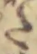 Đã định vị 𛁠