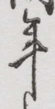 글자 年