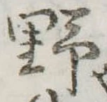 野 위치 확인됨