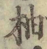 글자 柚