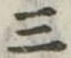 位置定マレル三