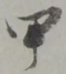甲 위치 확인됨
