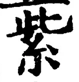 字紫