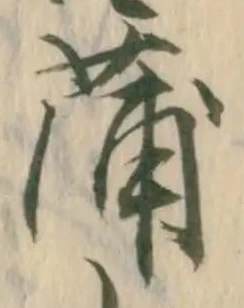 位置定マレル蒲