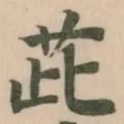 茈 위치 확인됨