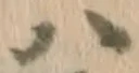 글자 ハ
