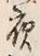 글자 夜