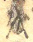 𛄚 위치 확인됨