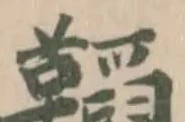 鞱の位置