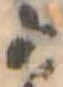 位置定マレル𛀙