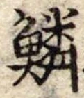 鱗の位置