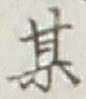 Character 某